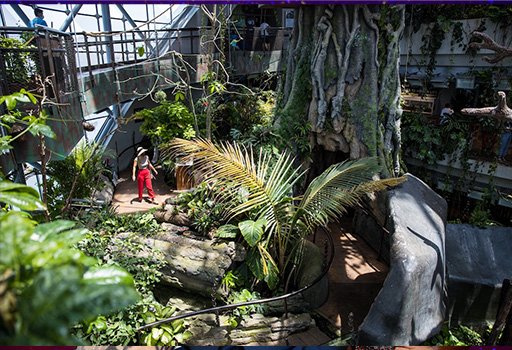 Green Planet indoor rainforest zoo in Dubai